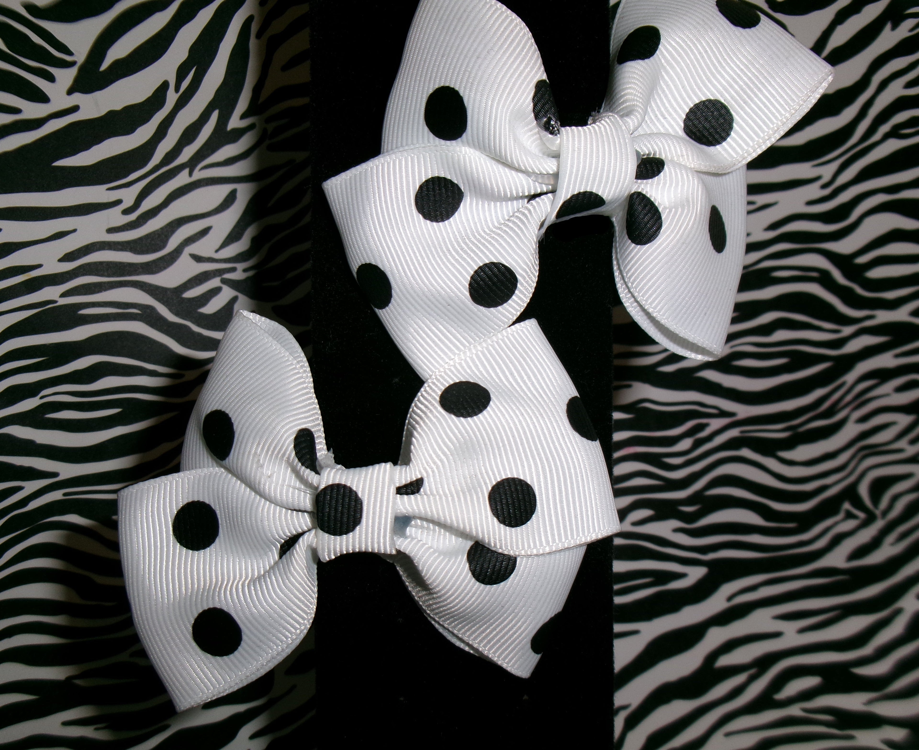 dottie dream